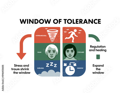 A vector graphic illustrating the concept of Window of Tolerance, showing stress and trauma effects on emotional regulation on transparent background