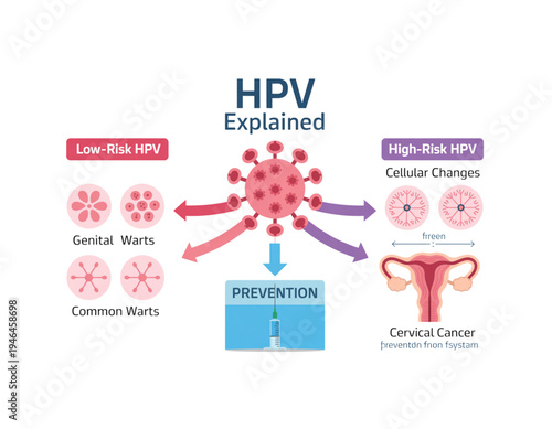 An informative vector graphic explaining HPV, its risks, and prevention methods on transparent background