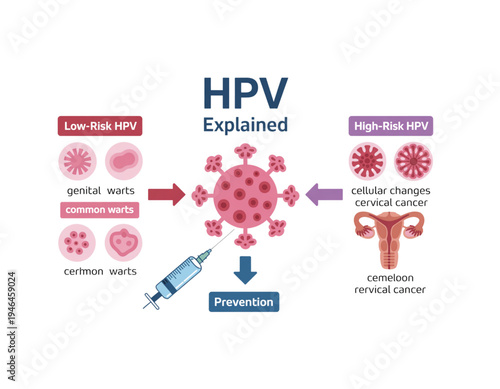 An informative vector graphic explaining HPV, including low-risk and high-risk types, prevention, and related health issues on transparent background