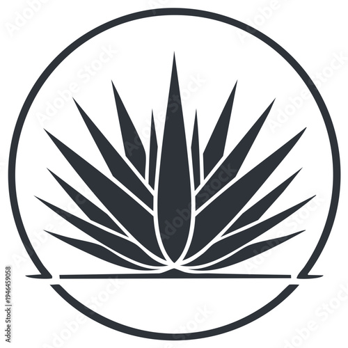 Agave plant logo in a circle minimalist design for beverage and spirit branding