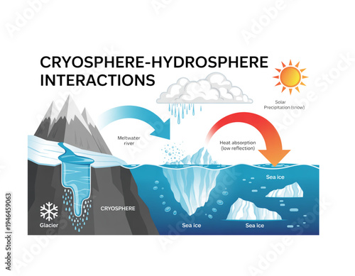 An educational vector graphic illustrating cryosphere-hydrosphere interactions on a transparent background