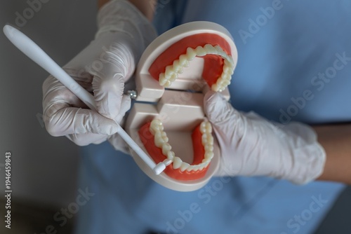 Quadro su tela A dentist in blue scrubs and white latex gloves holds a dental model with white teeth and red gums, alongside a white toothbrush