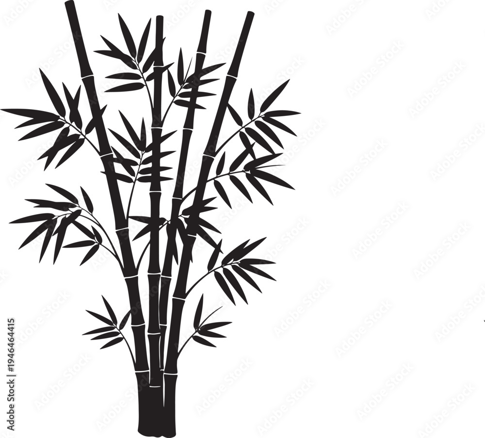Obraz premium Black and white bamboo plant silhouette on a plain background