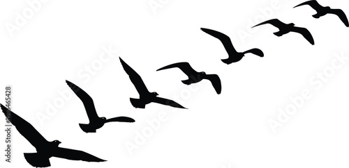 jvbnjvmngbkmnbknglkfbk,mcfbldkmglmnbldkjgfjblvnlbnblknbnvblkjbnvblkjbmnblkjcvbmncvl;kjcvbnvblkjvbnn