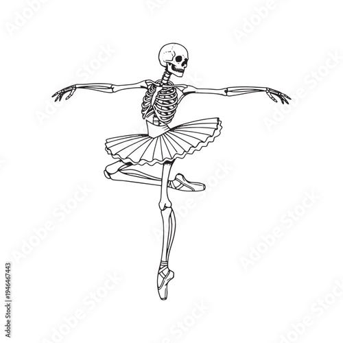 Artistic Skeleton Ballerina Dancing in Tutu Line Art Illustration
