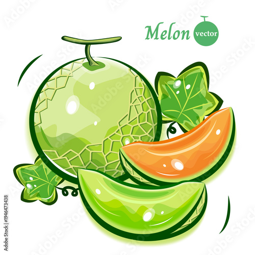 メロンのポップアートなイラスト｜新鮮で可愛らしい果物のベクター素材