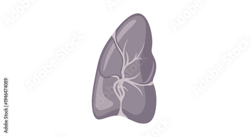 The detailed illustration of lungs with bronchi and blood vessels inside human body for medical education purposes is shown here