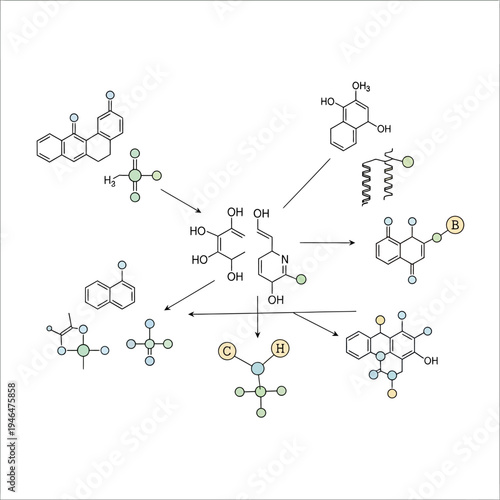 A complex biochemical reaction pathway diagram.