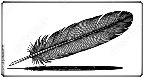 Feather quill with detailed black lines and framed border on white background featuring illustration, drawing, art with