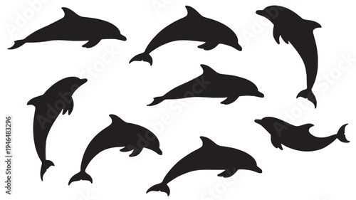Dolphins black silhouettes set with diverse leaping and swimming poses on a white background, vector graphics