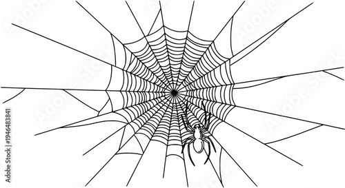 Spider web with black spider hanging center, detailed illustration featuring spiderweb, cobweb, creepy with halloween