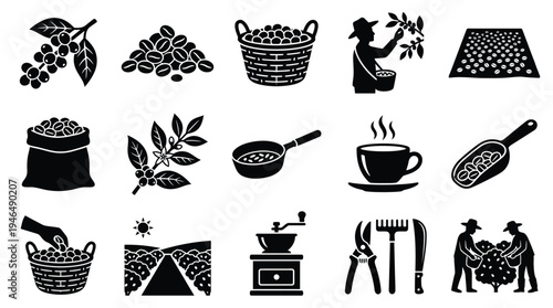 Collection of black and white icons representing the coffee production process, from bean harvesting to brewing.