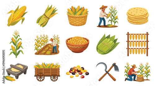 A vibrant collection of illustrations depicting various stages of corn cultivation, harvesting, and processing, including fresh corn on the cob, dried kernels, tortillas, and farming tools.