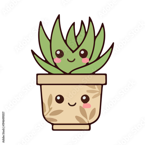 Cute Kawaii Succulent Plant