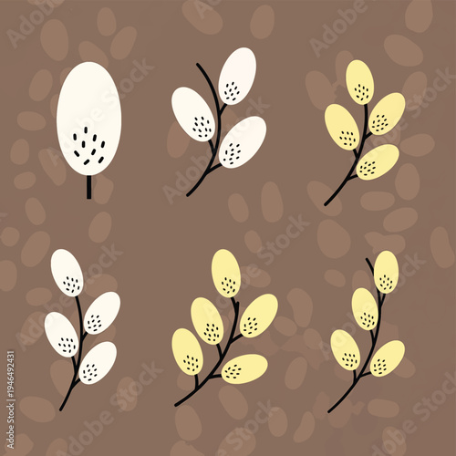 Pussy Willow Twigs and Bud Vector Set