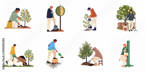 Set of illustrations depicting men engaged in various stages of planting, cultivating, and harvesting durian trees in a farm setting.