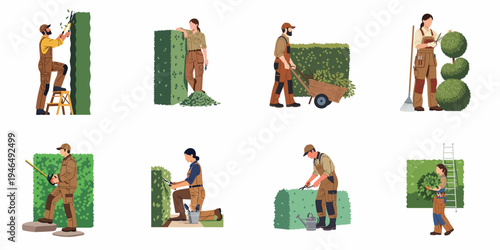 Professional gardeners trimming and shaping hedges, bushes, and topiary plants using various tools, flat vector illustration set isolated on white.