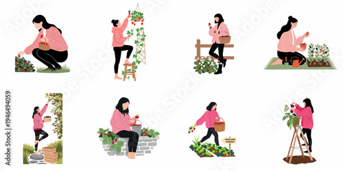 Flat vector illustration set of a woman harvesting fresh strawberries, gardening, and picking berries in various poses and garden settings on white background.
