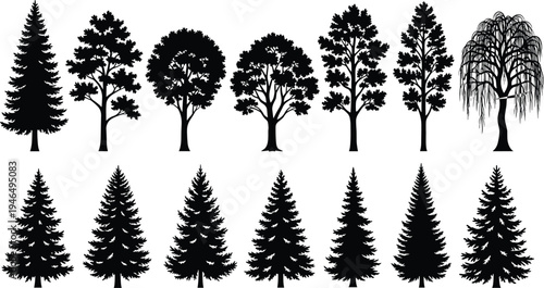 Tree silhouette collection set with pine spruce and deciduous trees isolated on white background, nature forest botanical vector illustration for landscape.