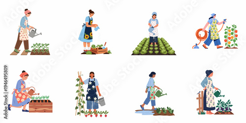 Set of diverse women gardeners watering various vegetables and plants in garden beds, flat vector illustrations on white background.