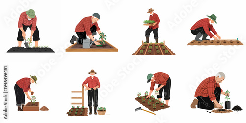 Collection of flat vector illustrations featuring an elderly male gardener performing various tasks like planting, watering, and seeding in a vegetable garden.