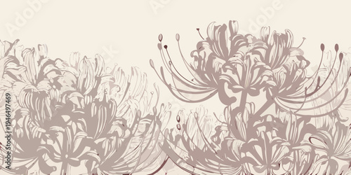 Delicate floral illustration of spider lilies in a muted beige palette