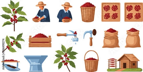 Coffee Bean Farming and Harvest Vector Collection with Coffee Plants, Farmers Picking Cherries, Baskets, Drying Beans, Farm Tools, and Processing Elements