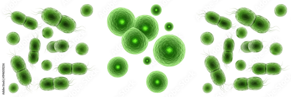 Fototapeta premium Set of green bacteria and virus cells under microscope isolated on white background, 3D illustration of probiotics, infection and microbiology concept.