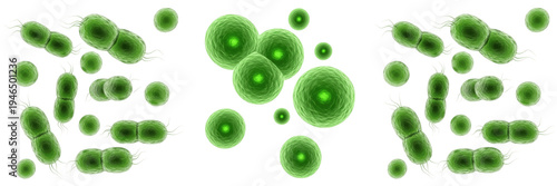 Fotografie Set of green bacteria and virus cells under microscope isolated on white background, 3D illustration of probiotics, infection and microbiology concept