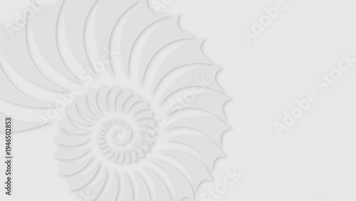 Elegant Abstract Nautilus Shell Swirl Pattern on White Background