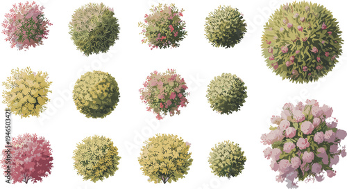 Collection of colorful top view trees and bushes vector set for landscape design, map creation, game assets, garden planning, and architectural site plan illustration