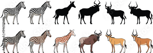 African safari animals set with zebra giraffe wildebeest and antelope silhouettes and colored wildlife illustrations isolated on white background