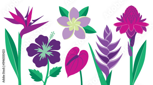 Vibrant collection of exotic tropical flowers on a clean white background