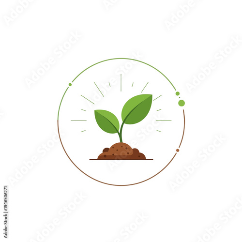 Sprouting seedling in soil with green leaves.