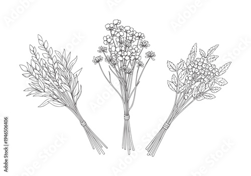 Three botanical line bouquets with leaves and berries