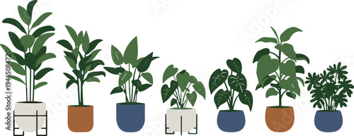 Indoor potted houseplants collection, modern plant pot decoration, tropical foliage greenery design, botanical nature elements, cad drawing flat vector illustration