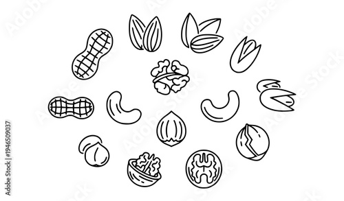 Assorted Nuts Thin Outline Icon Collection Healthy Food Vector Symbols