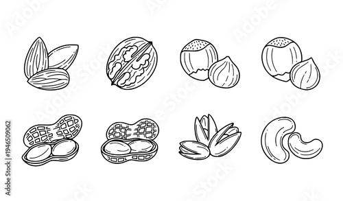 Food Nuts Outline Icons Almond Walnut Peanut Pistachio Line Vector Pack