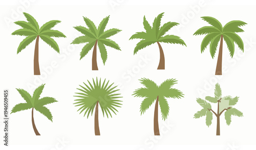 Tropical Palm Tree Vector Set Coconut Palm Leaves Illustration Collection
