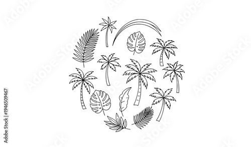 Minimal Tropical Palm Tree Line Art Vector Collection