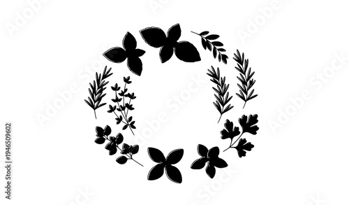 Minimal Herb Line Art Vector Collection Culinary Plant Set