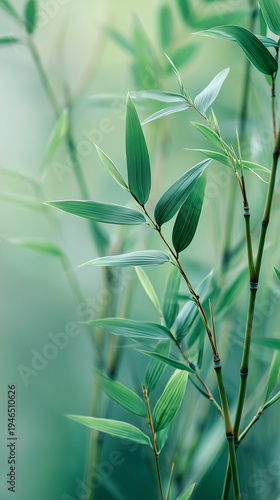abstract green background