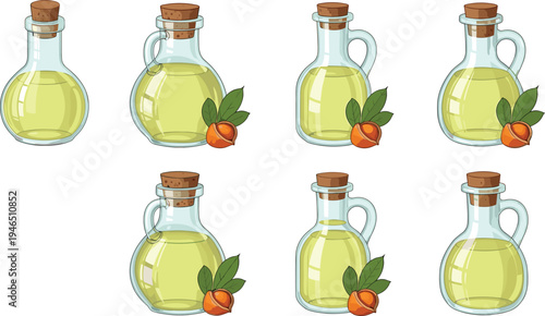 Hazelnut oil bottles collection, natural vegetable oil glass bottles, organic cooking oil illustration, healthy nutrition ingredient vector set