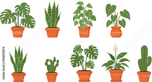 Indoor house plants collection, potted tropical plants and cactus set, home decor greenery illustration, indoor gardening vector