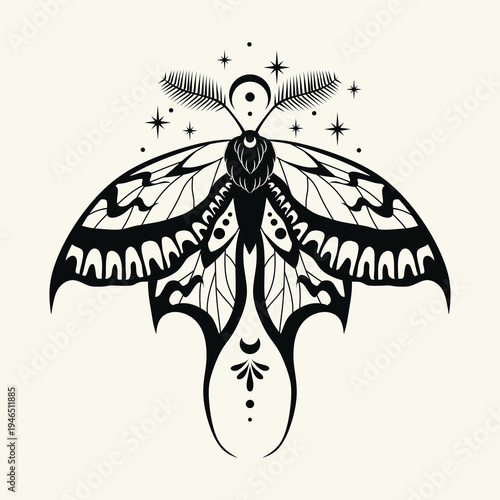 Vector illustration of moon moth. For print for T-shirts and bags, decor element. Mystical and magical, astrology illustration