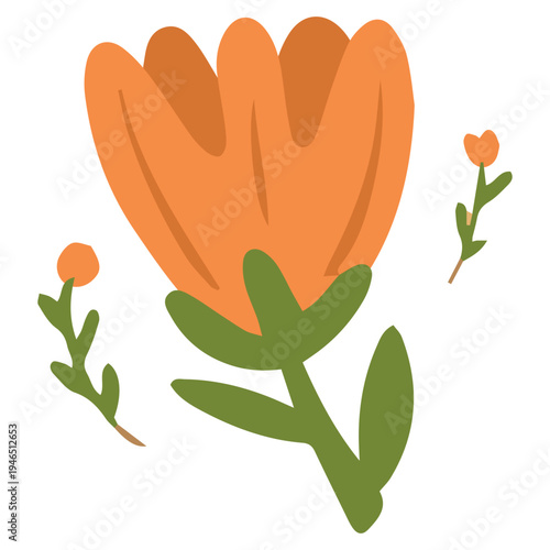 Orange Tulip Flower Flat Vector Illustration
