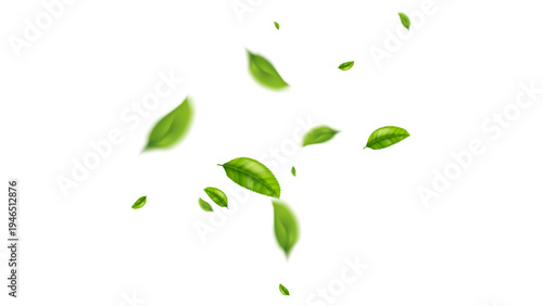 green leaf flying vector background