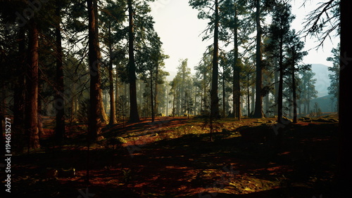 Tableau sur toile Serene forest setting at twilight, Dark forest floor illuminated by fading sunli