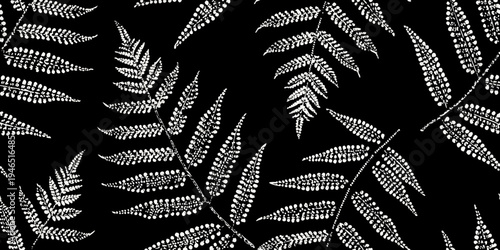Detailed pattern of silver ferns against a stark black background
