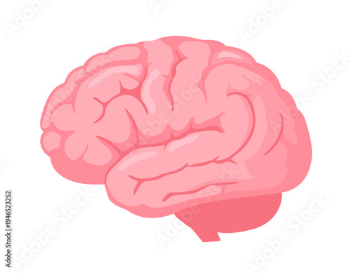 A simple cartoon illustration of a human brain, depicted in a light pink color, showing the cerebrum and cerebellum.